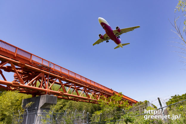 成田で飛行機～赤い誘導灯と飛行機のお腹