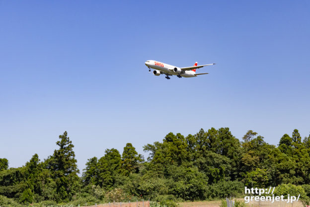 成田で飛行機～森の向こうから白地に赤！