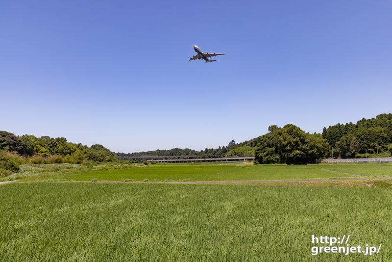 成田で飛行機～稲のそよぎとジャンボ