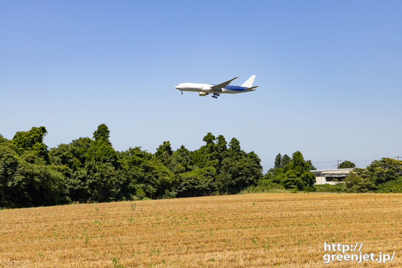 成田で飛行機～稲田と森と飛行機