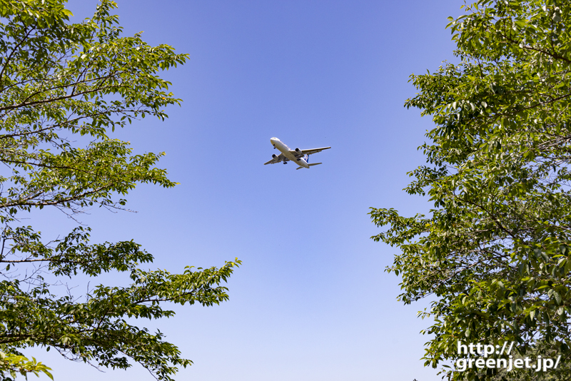 成田で飛行機～緑の樹木の合間に