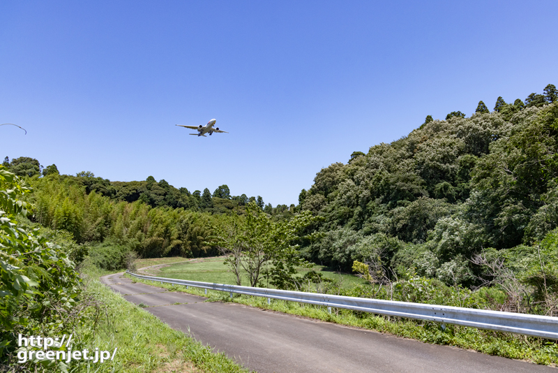 成田で飛行機～農道の先の森から飛び出す