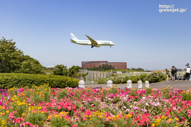 成田で飛行機～さくらの山の花壇から