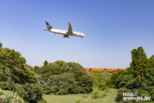 成田で飛行機～スタアラANAと鬱蒼の森