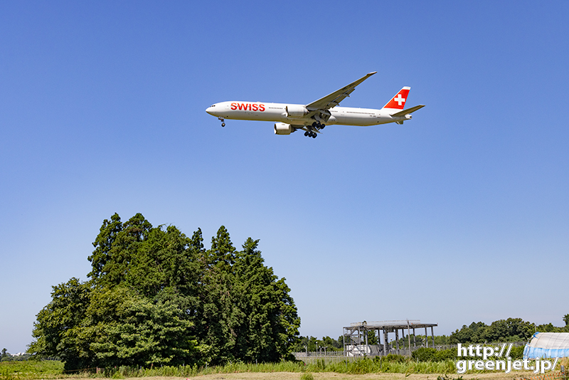 成田で飛行機～赤白の飛行機にデッカイ木が