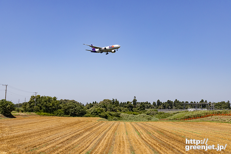 成田で飛行機～畑の黄色いラインが美しい