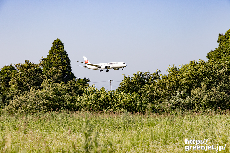 成田で飛行機～草原の向こうから飛行機
