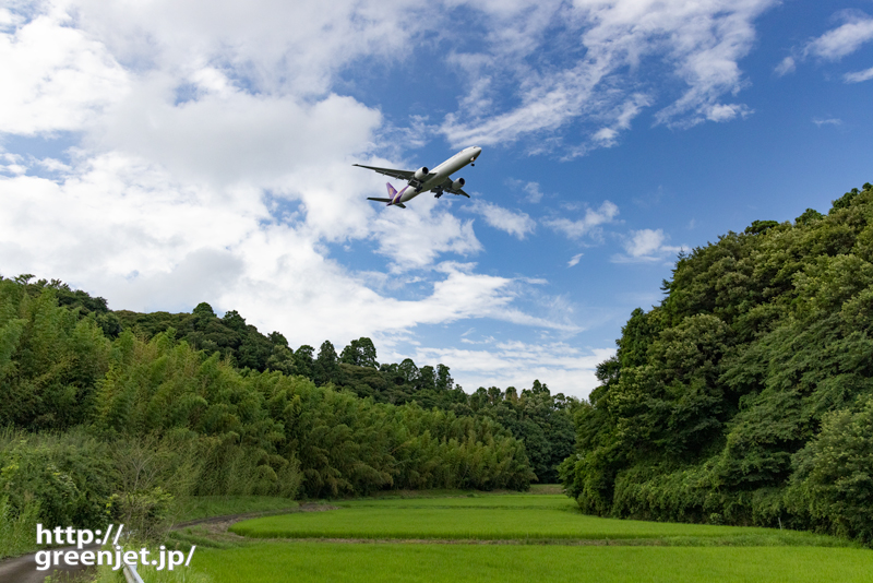 成田で飛行機～雨上がりの夏の水田と飛行機