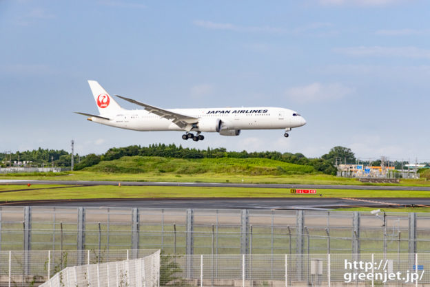 成田で飛行機～夏場の緑が美しかった件