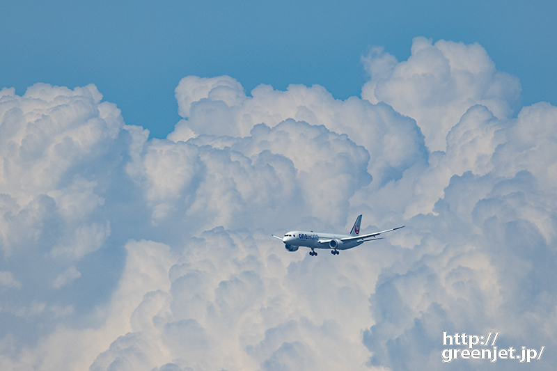 羽田で飛行機～なかなか凄い雲だったでしょ