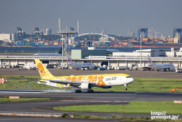 羽田で飛行機～ロコンジェットのタッチダウン