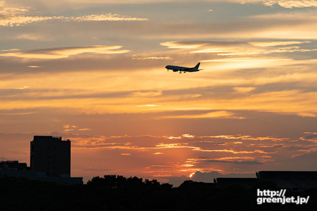 羽田で飛行機～夕焼けと高層ビル