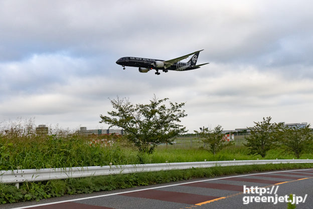 成田で飛行機～34Lへオールブラックス