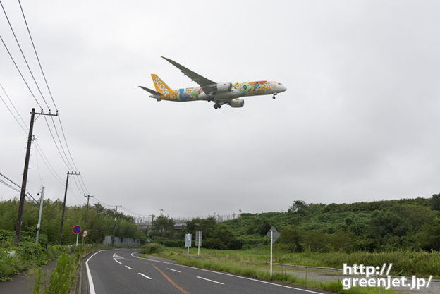 成田で飛行機～スクートのポケモン来る