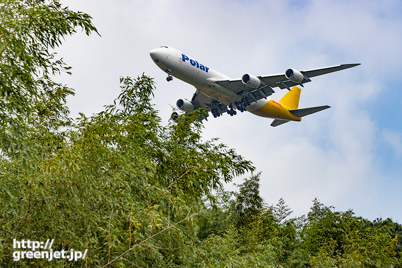 成田で飛行機～笹の木の上をジャンボ