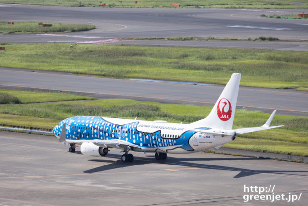 羽田で飛行機～やっぱジンベエジェットがいい！