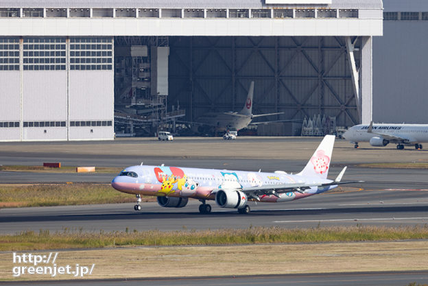 羽田で飛行機～ダイナスティのピカチュウジェット