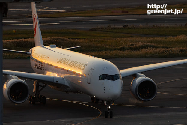 羽田で飛行機～西日を浴びJALのA350