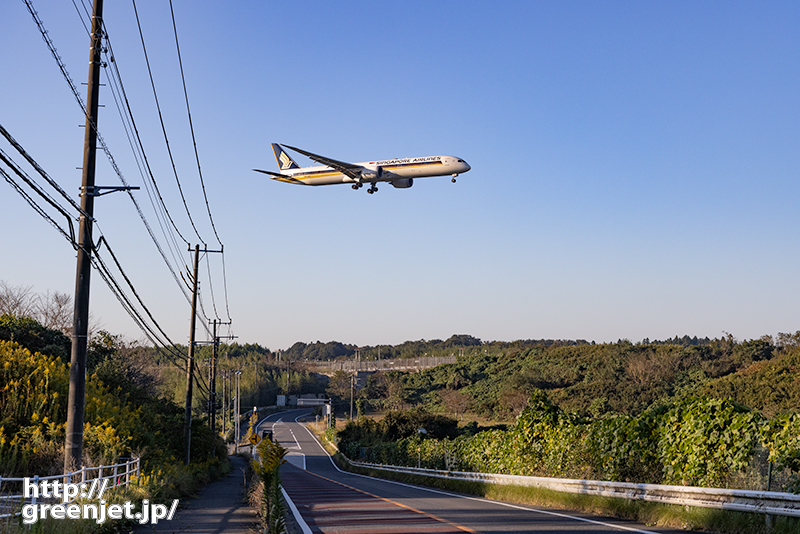 成田で飛行機～この山道の上で待つ-10