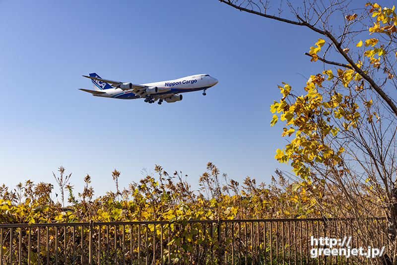 成田で飛行機～黄葉とNCAジャンボ