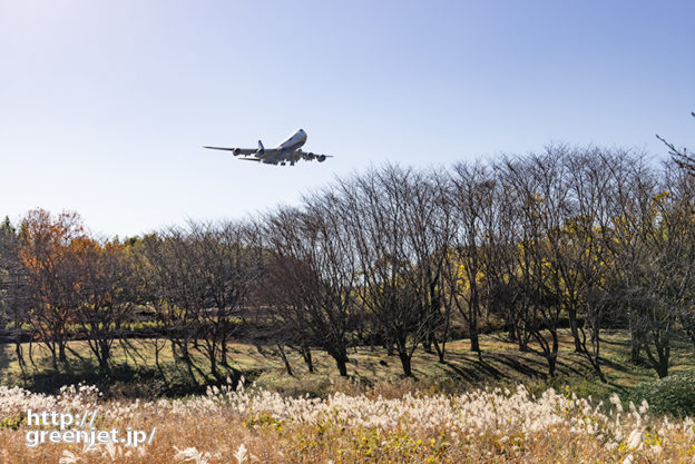 成田で飛行機～22年のススキとジャンボ