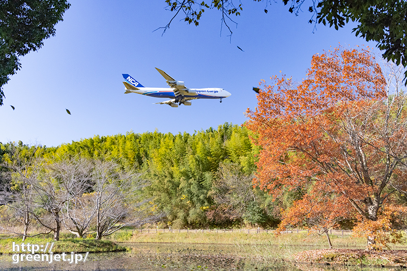 成田で飛行機～池の上の紅葉とジャンボ①