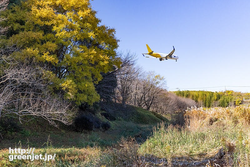 成田で飛行機～黄葉と黄色い飛行機のコラボ