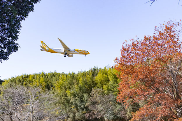 成田で飛行機～シンメトリック紅葉とB78