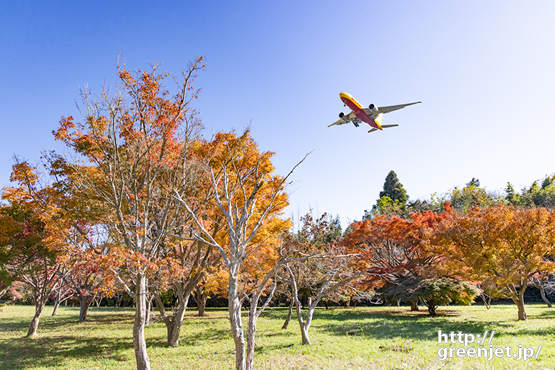 成田で飛行機～紅葉に絡む黄色い飛行機がいい