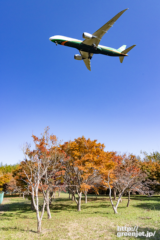 成田で飛行機～紅葉とエバーのB787