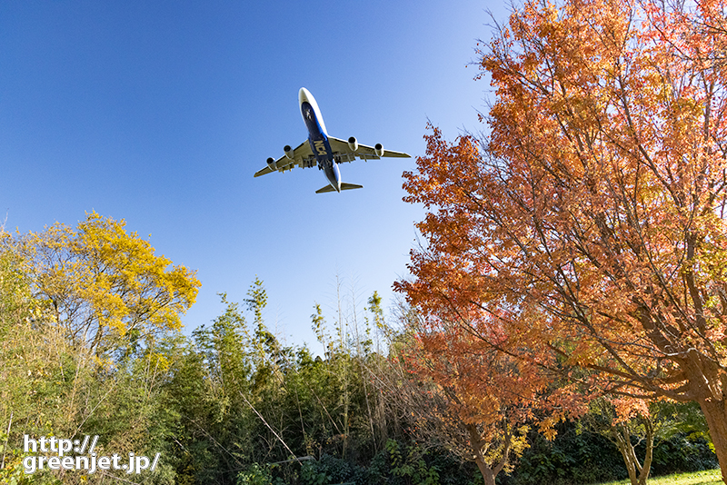 成田で飛行機～紅葉と黄葉の間からジャンボ