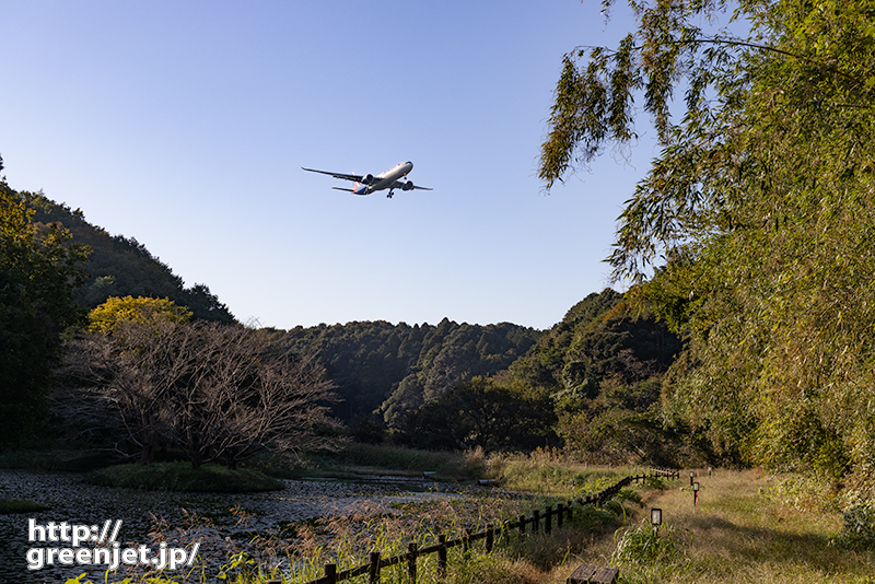 成田で飛行機～南国から早朝にやってくる