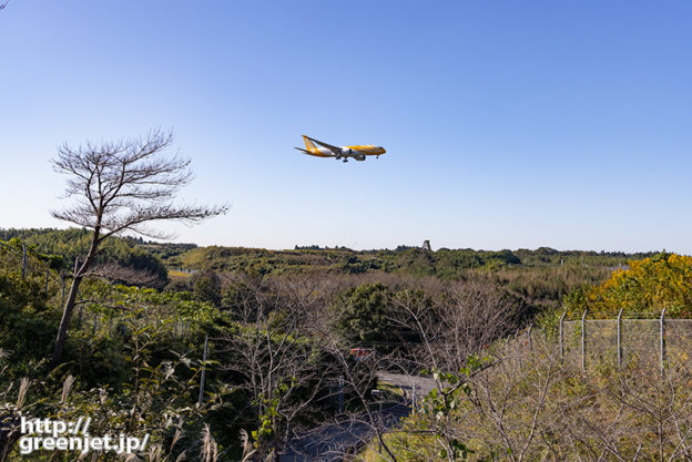 成田で飛行機～森の上をイエローラッピング