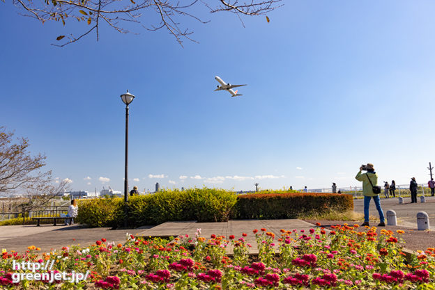 成田で飛行機～さくらの山の花壇にて