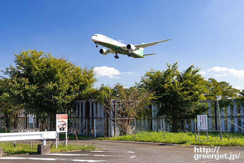 成田で飛行機～青空とエバーグリーンが美し