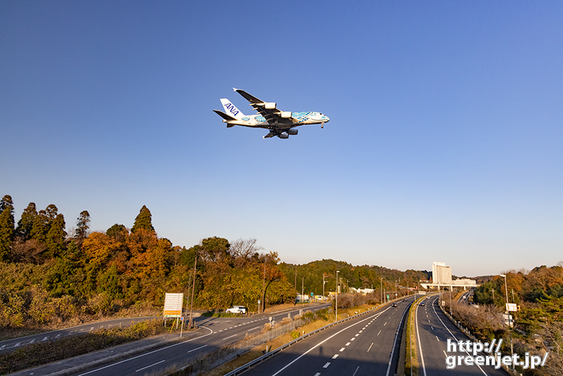 成田で飛行機～貴重！高速道路とホヌ