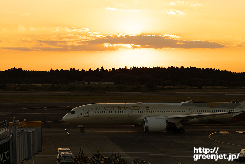 成田で飛行機～黄金の美しい横顔