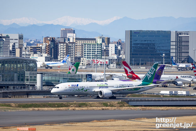 羽田で飛行機～雪化粧の山々と緑のANA