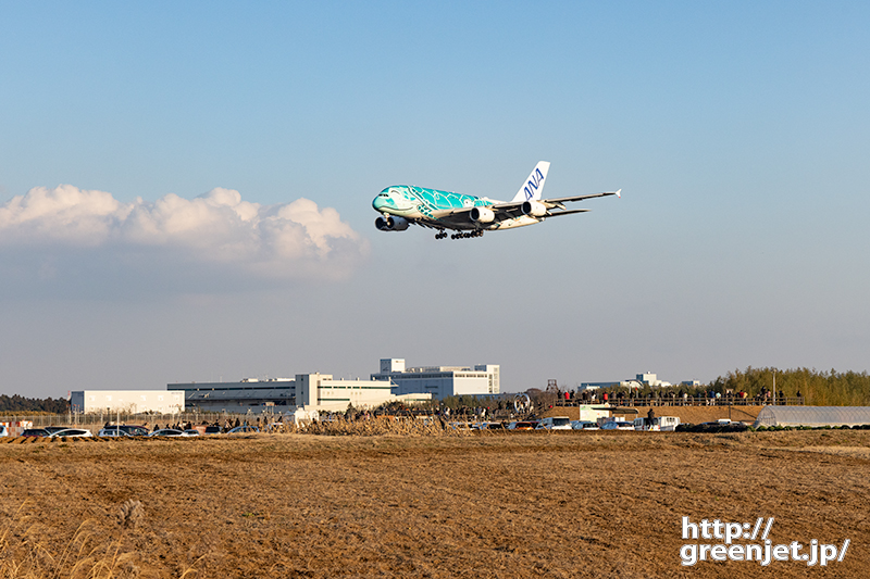 成田で飛行機～ホヌ2号機と雲