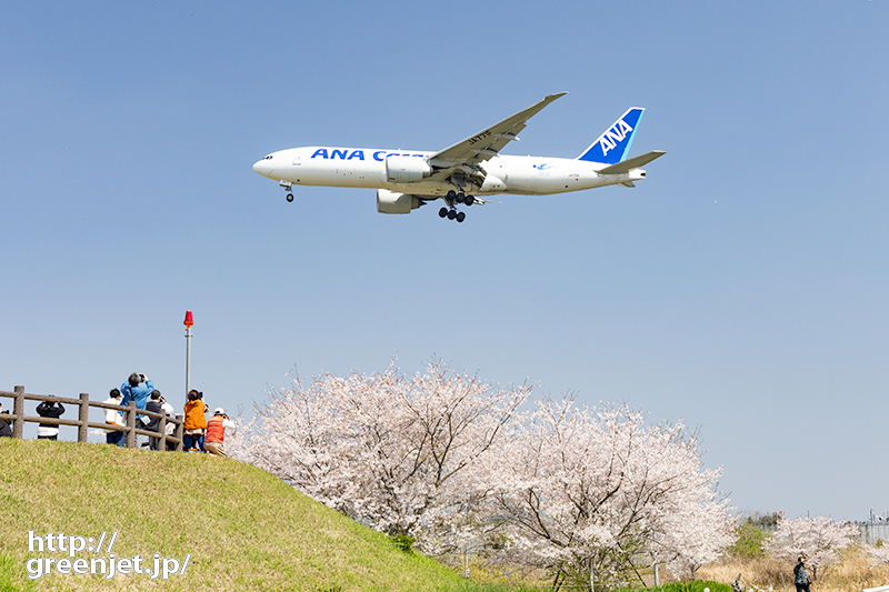成田で飛行機～丘の下から桜絡みを狙う