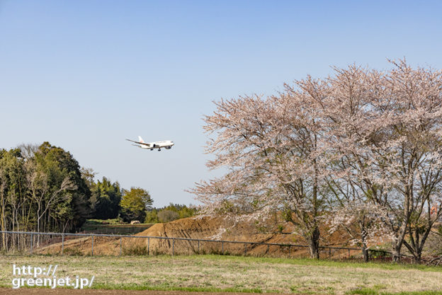 成田で飛行機～桜の木々に突っ込むB787