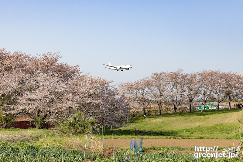 成田で飛行機～畑と桜と野球少年たち