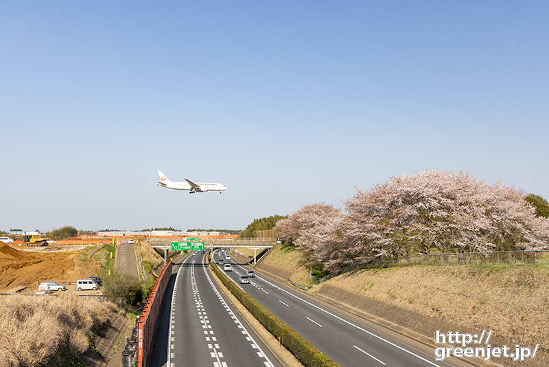 成田で飛行機～でっかい桜と高速道路そして..