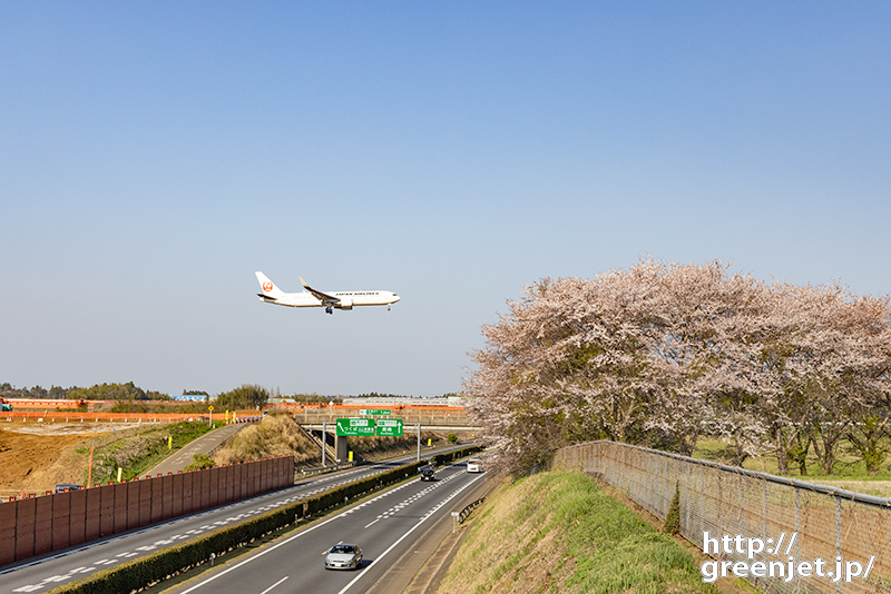 成田で飛行機～高速道路と咲き誇る桜