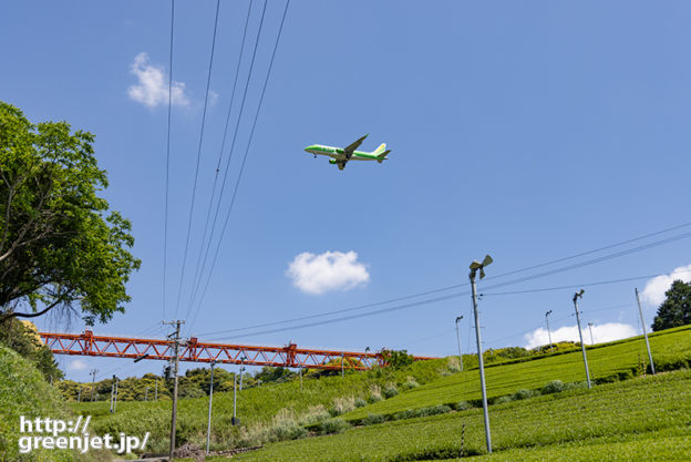 静岡で飛行機～茶畑にティーグリーン到来