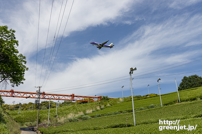 静岡で飛行機～紫の飛行機と茶畑の世界