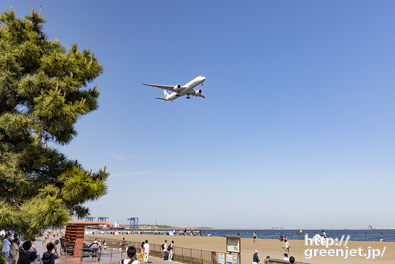 羽田で飛行機～砂浜前をJAL A350