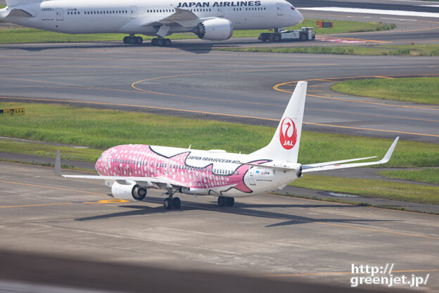 羽田で飛行機～美しいさくらジンベエの後姿