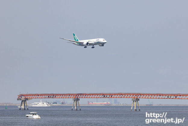 羽田で飛行機～海越しのグリーンなB787