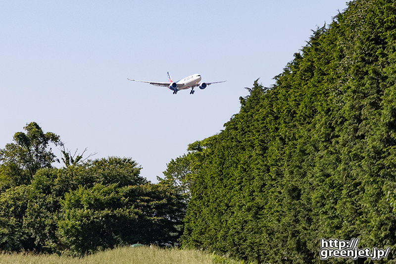 成田で飛行機～森の上に降り立つトロピカル